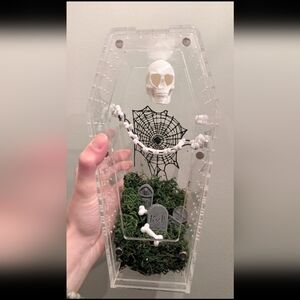 Tarantula Cribs Coffin Enclosure Jumping Spider Set Up